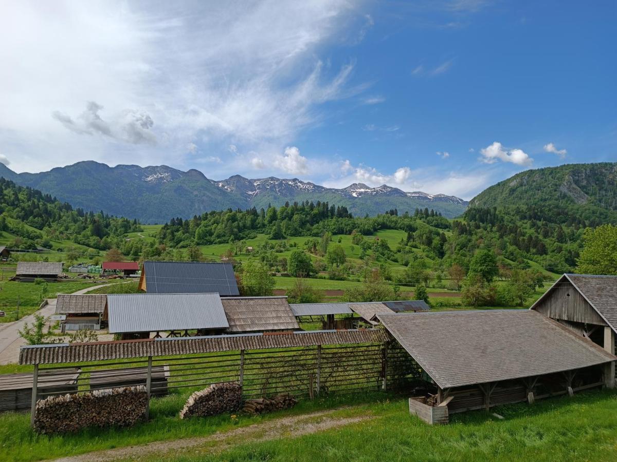 Apartmaji Hodak Hotel Bohinj Exterior photo